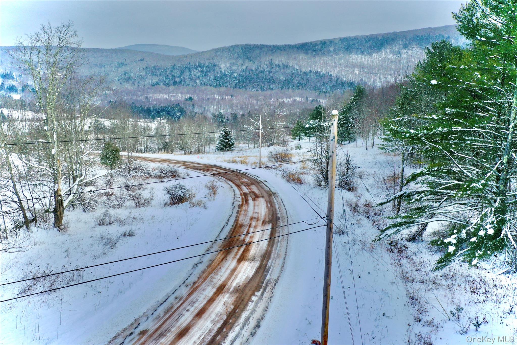 Quail Ridge Road, Margaretville, NY 12455