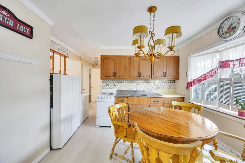 10 Grape Lane, Hicksville, NY 11801