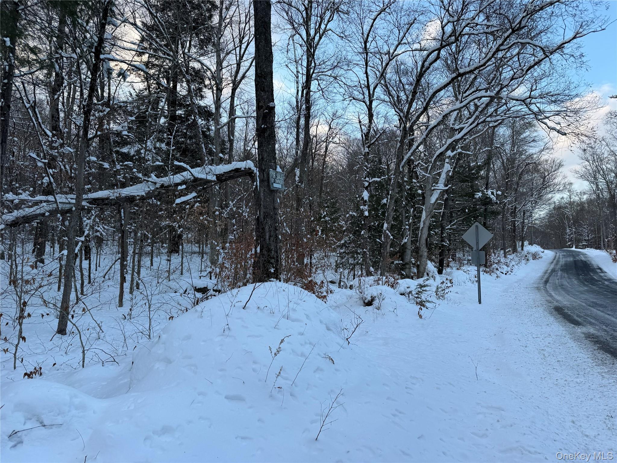 00 Starlight Road, Monticello, NY 12701