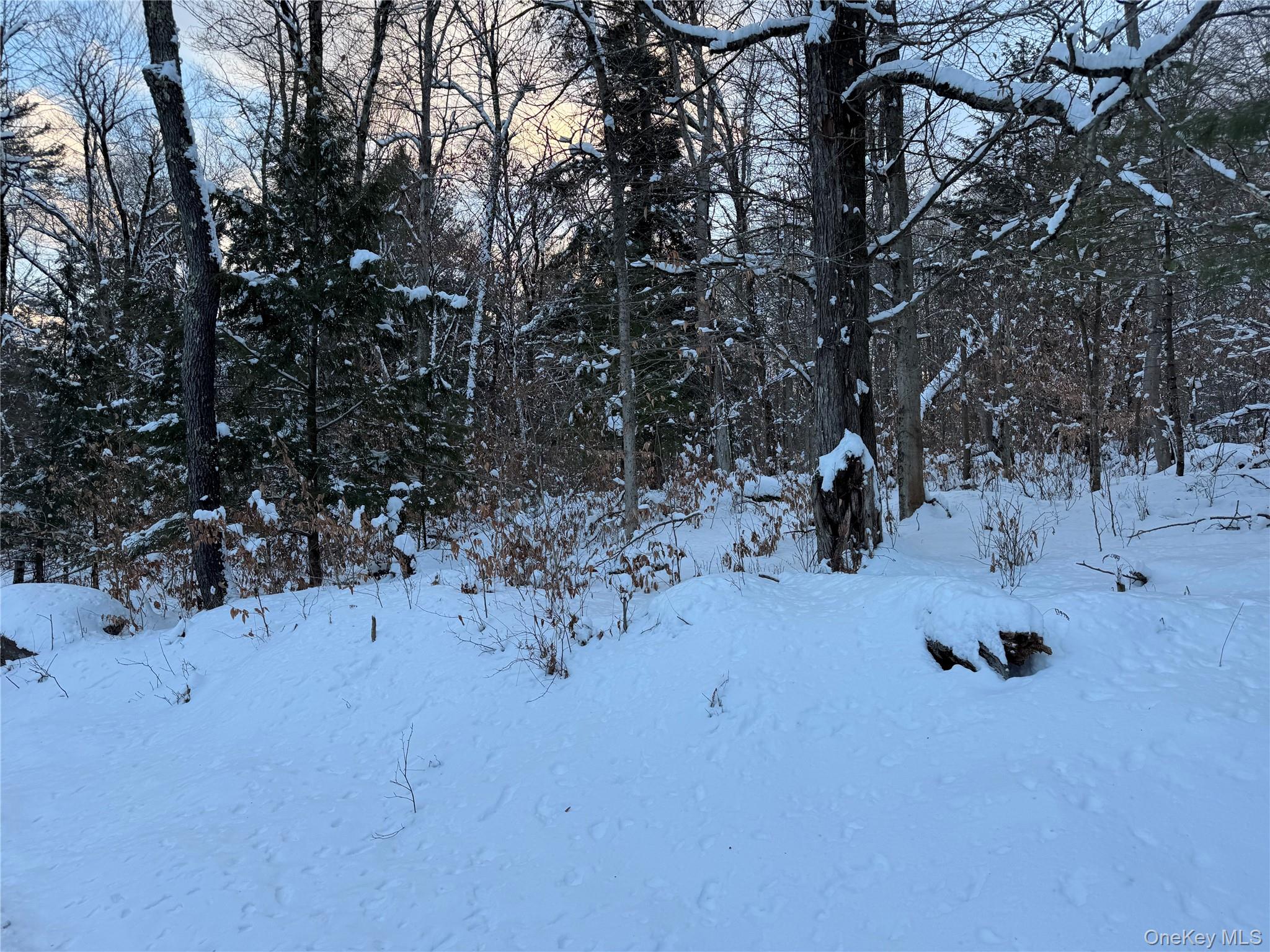 00 Starlight Road, Monticello, NY 12701