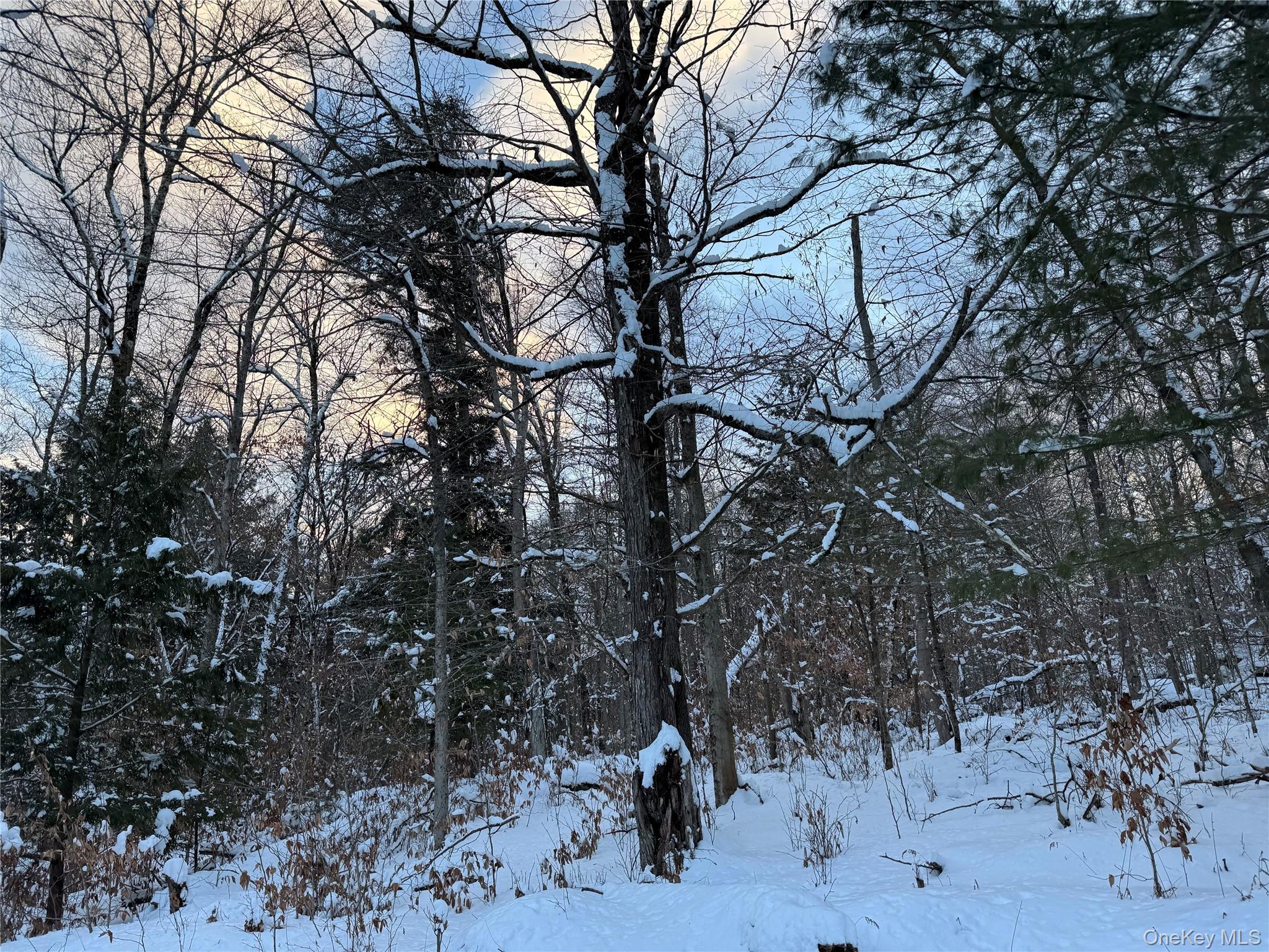 00 Starlight Road, Monticello, NY 12701