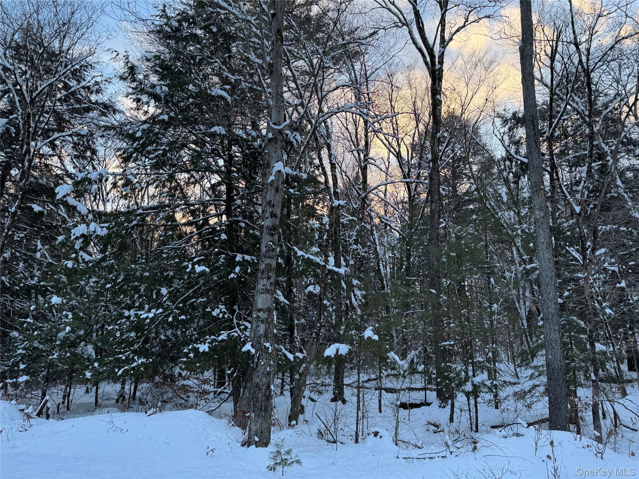 00 Starlight Road, Monticello, NY 12701