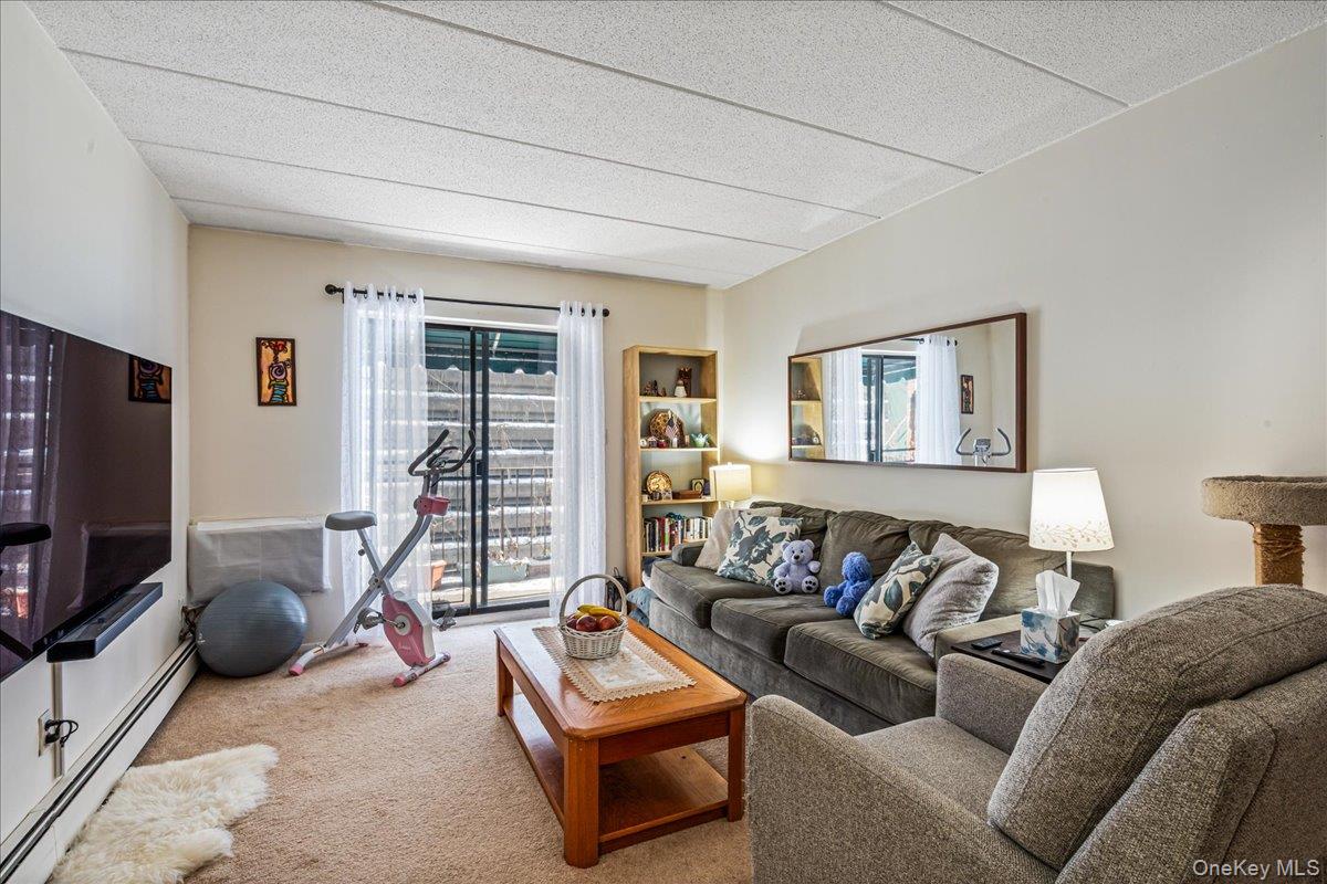 6607 242nd Street # 13D, Little Neck, NY 11362