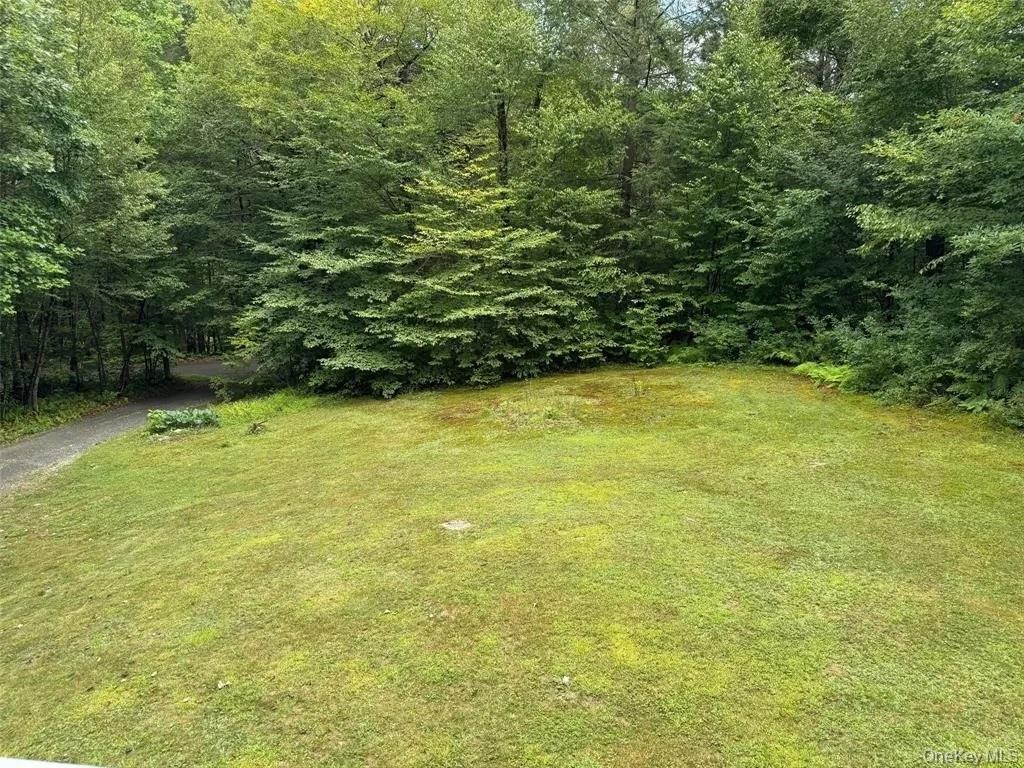 2553 Bouchouxville Road, Hancock, NY 13783