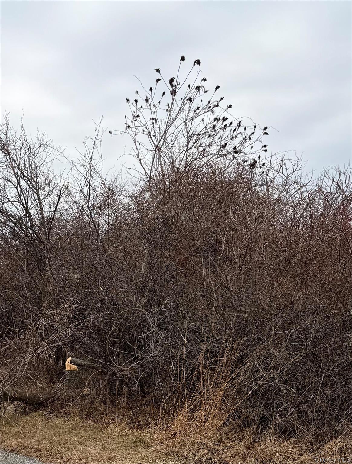 18 Homeward Lane, Montauk, NY 11954