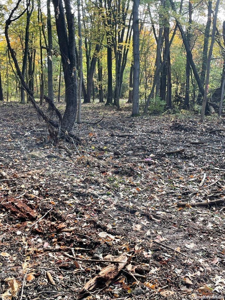 15 Tammy Trail, Athens, NY 12051