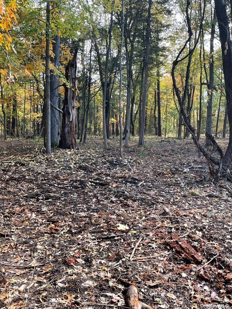 15 Tammy Trail, Athens, NY 12051