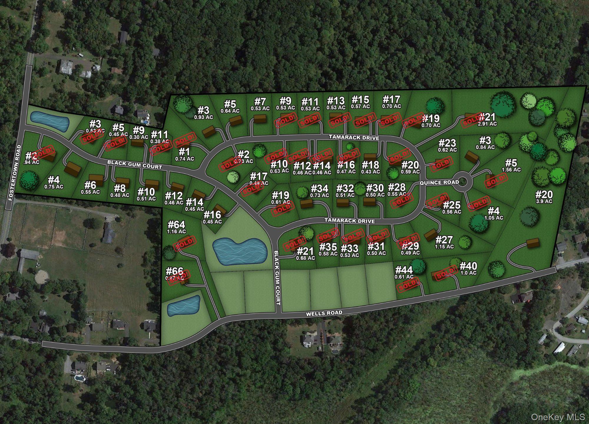 14 Black Gum Court, Newburgh, NY 12550