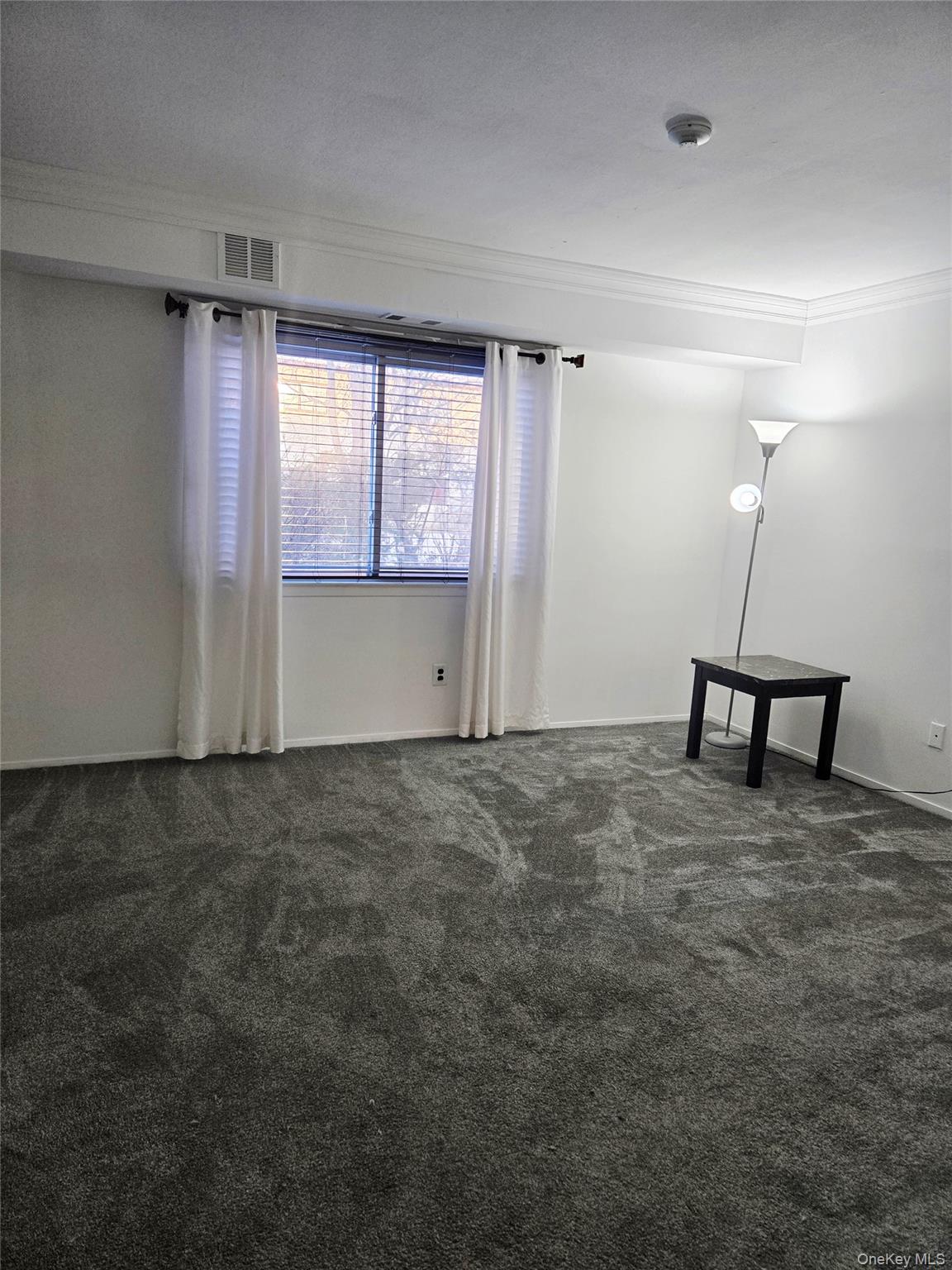 199 Pointe Circle North # 199, Coram, NY 11727