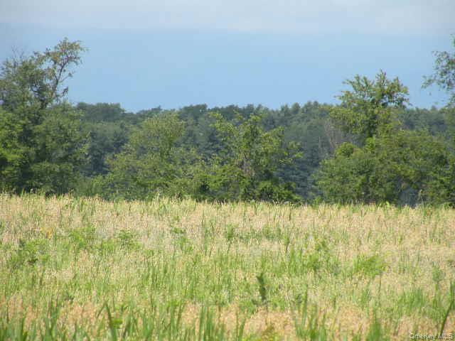 132 Lockwood Road, Hudson, NY 12534