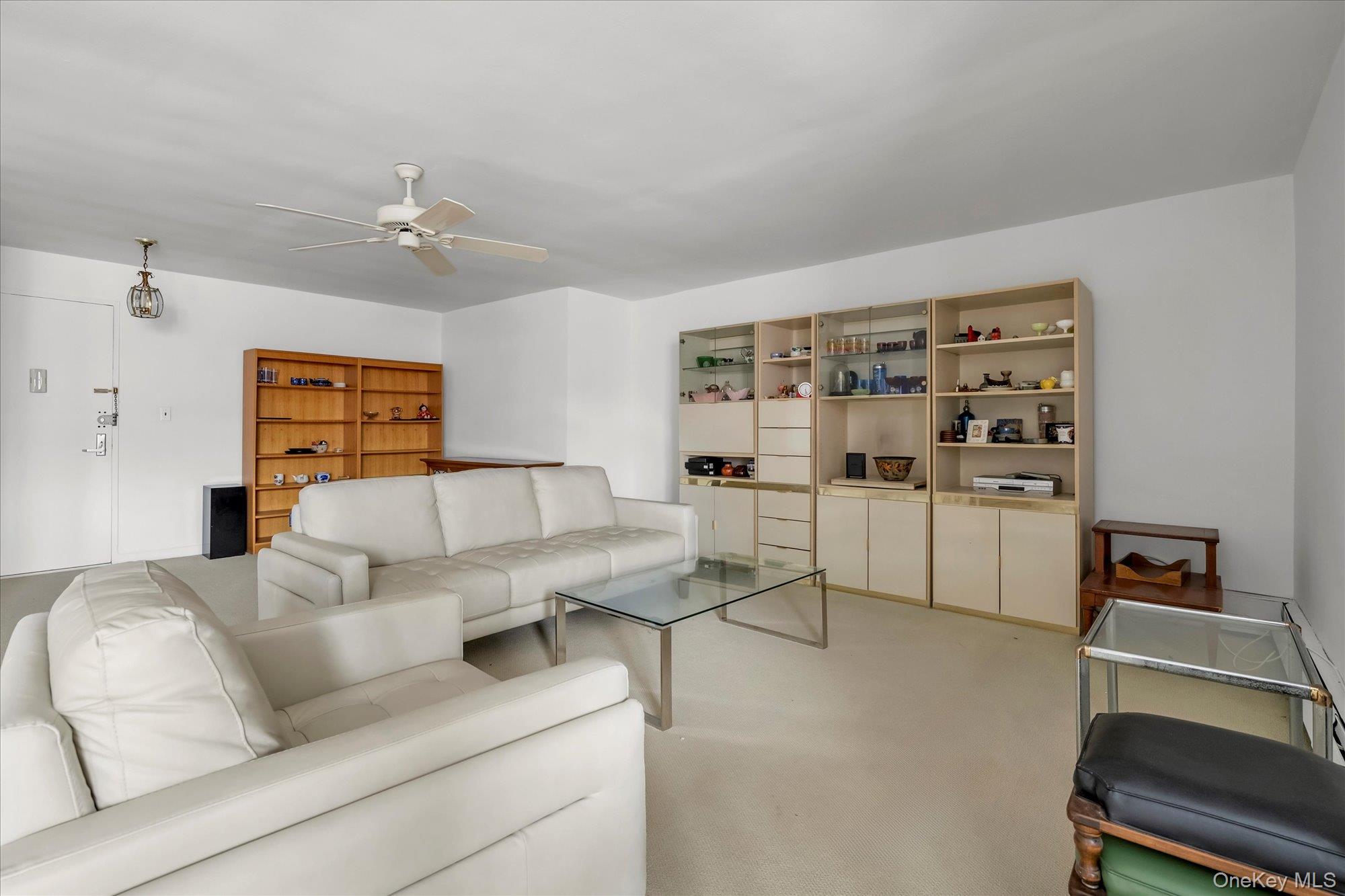 25 Chapel Place # 3N, Great Neck, NY 11021