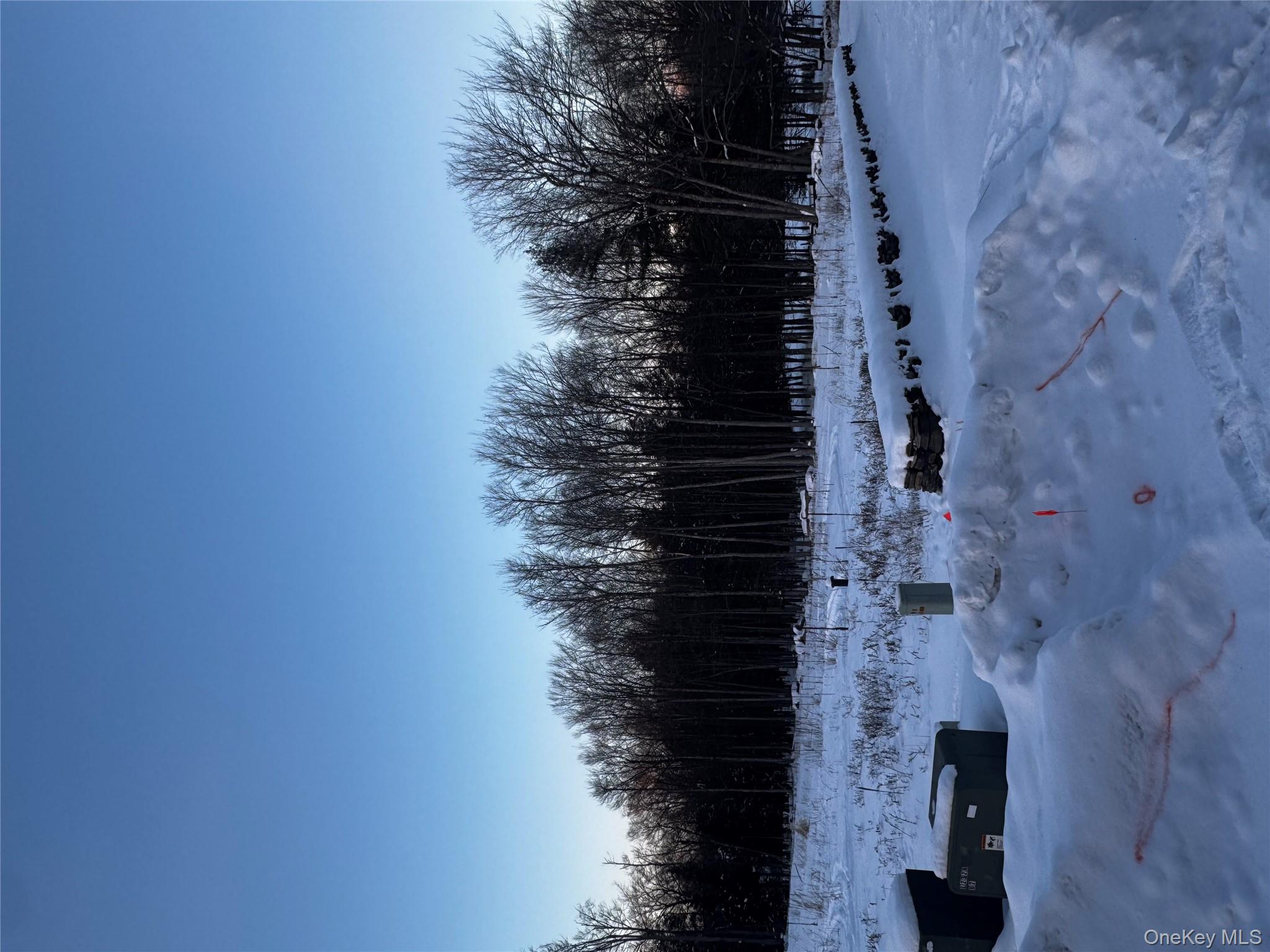 000 Drake Road, Neversink, NY 12765