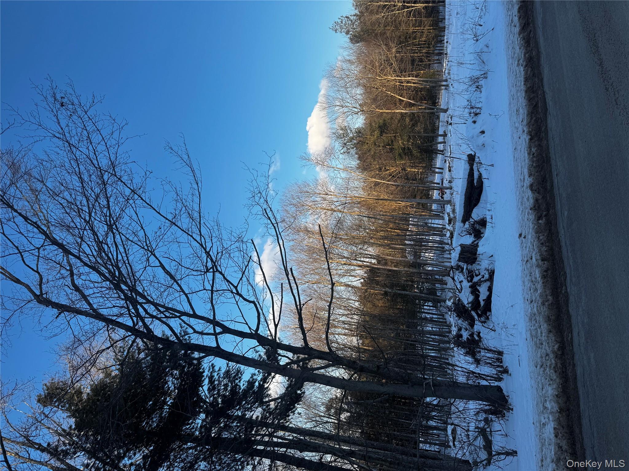 000 Drake Road, Neversink, NY 12765