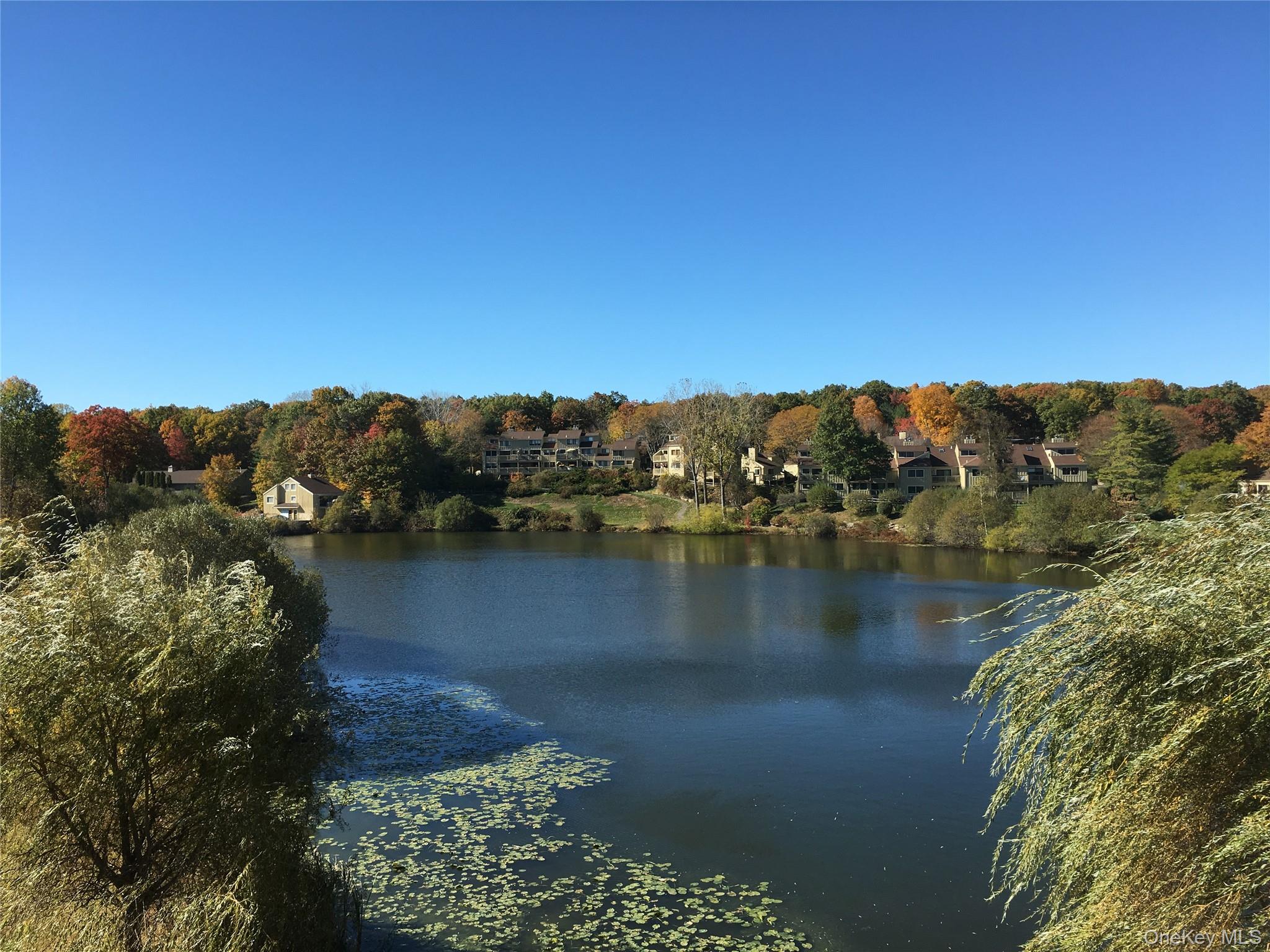 905 Oakridge Common, South Salem, NY 10590