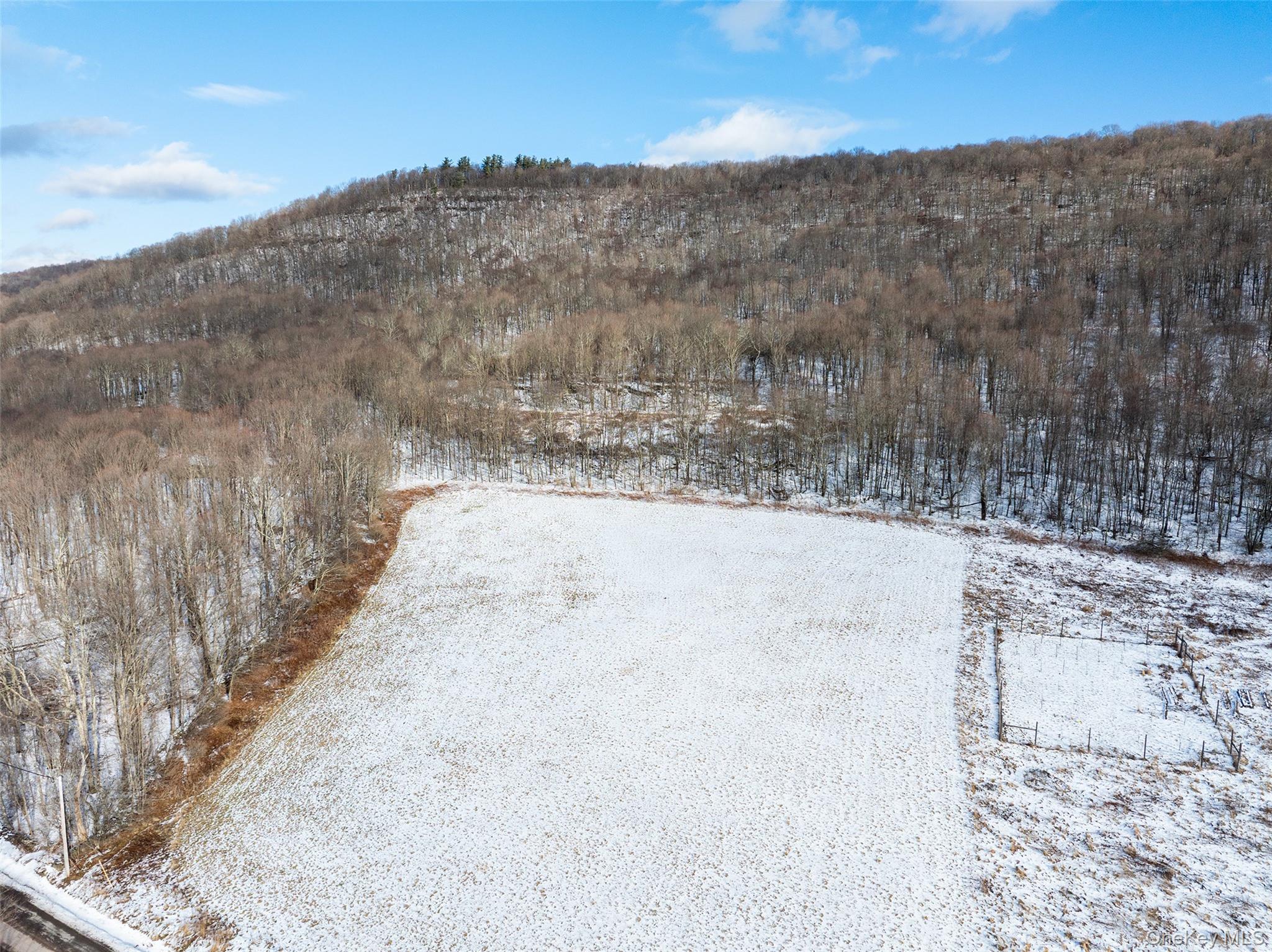 Betty Brook Road, Bloomville, NY 13842