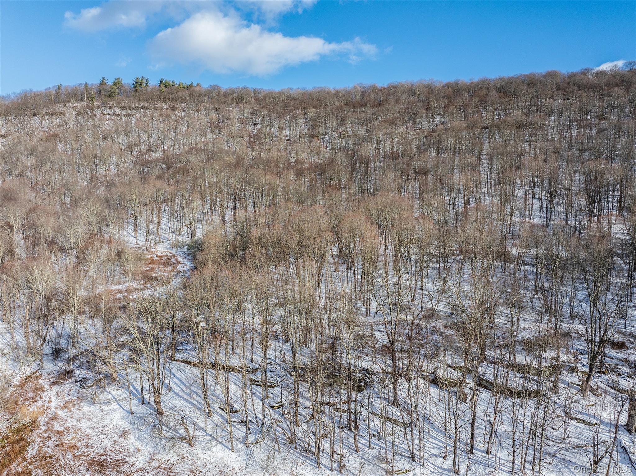 Betty Brook Road, Bloomville, NY 13842