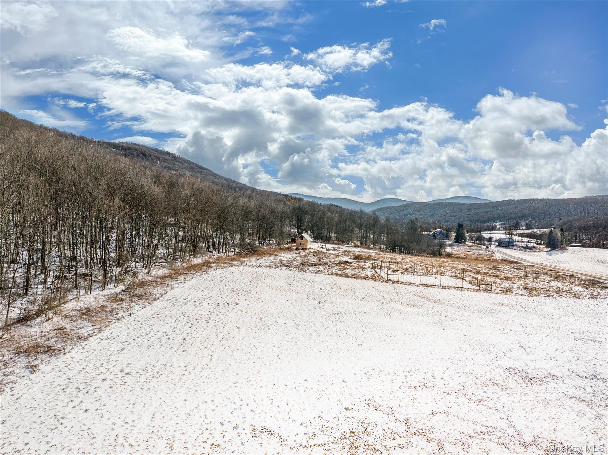 Betty Brook Road, Bloomville, NY 13842