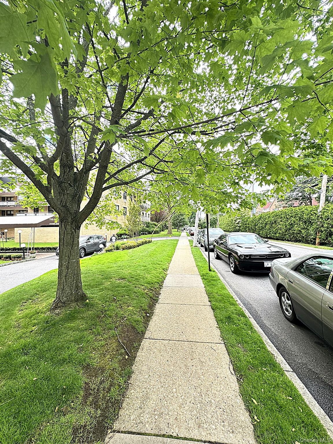 40 Stoner # 3bb, Great Neck, NY 11021