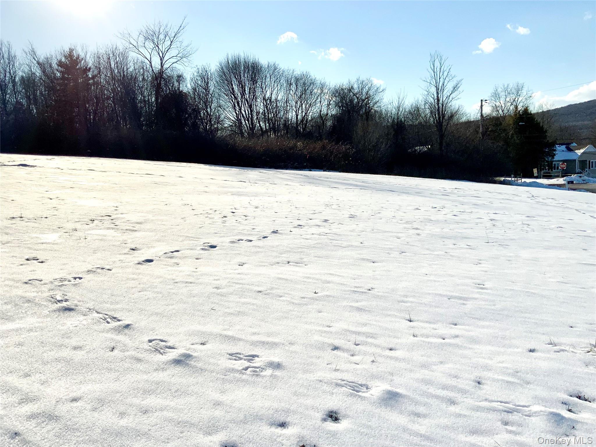 Smith Terrace TBD Smith, Lloyd, NY 12528