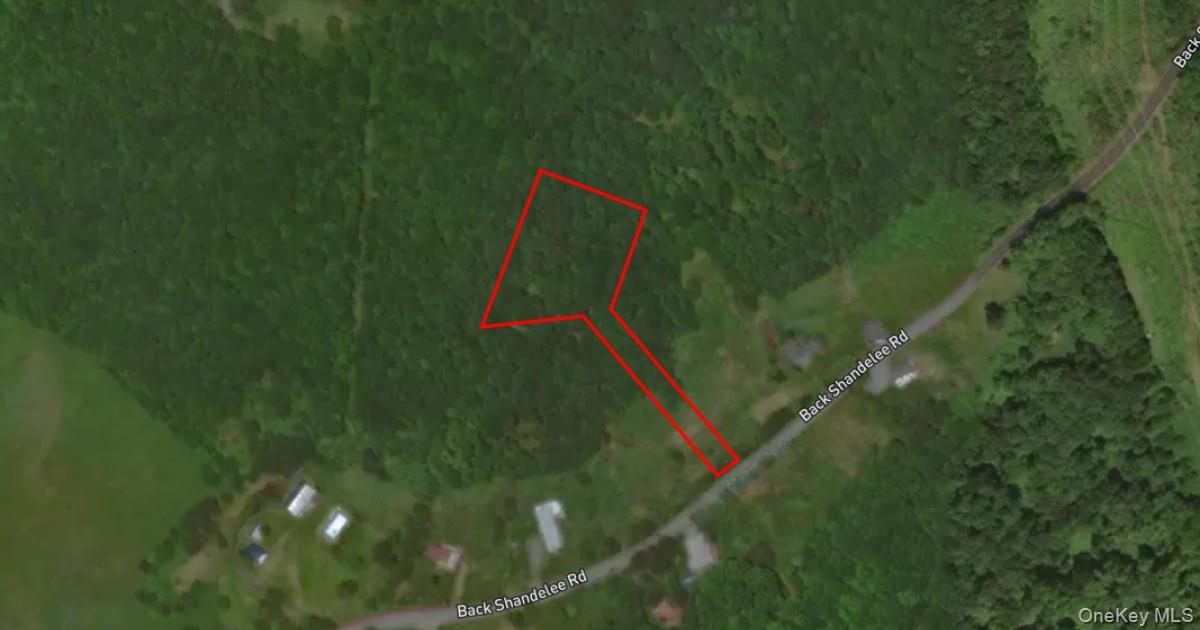 Lot 1 Back Shandelee Road, Livingston Manor, NY 12758