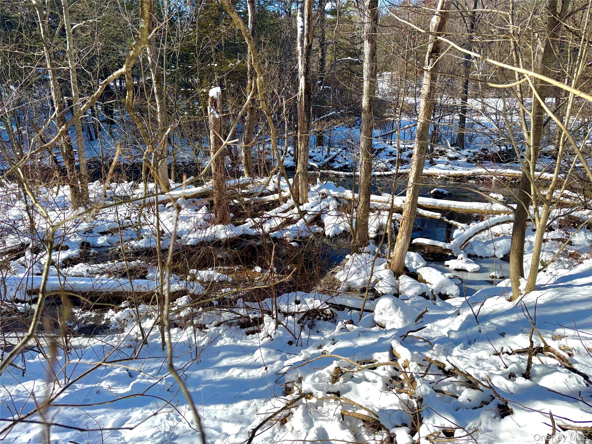 40 Potic Creek Road, Call Listing Agent, NY 12051