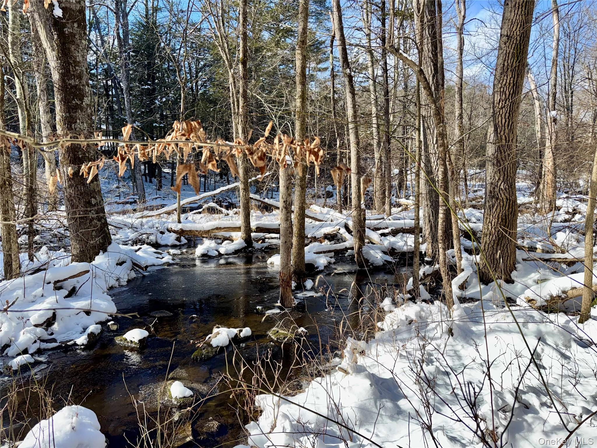 40 Potic Creek Road, Call Listing Agent, NY 12051