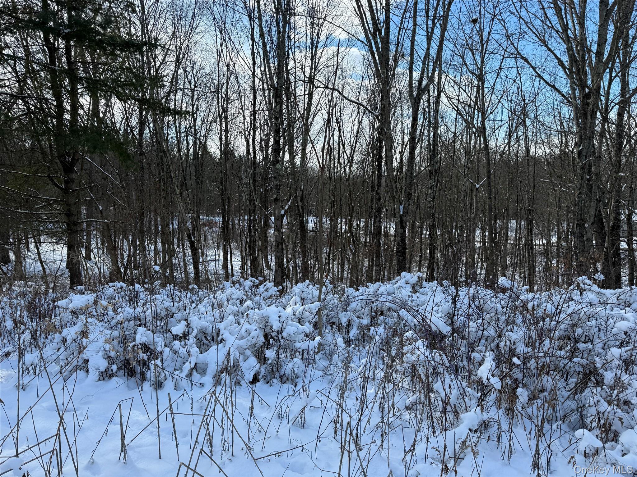 266 Pitts Road, Chatham, NY 12136