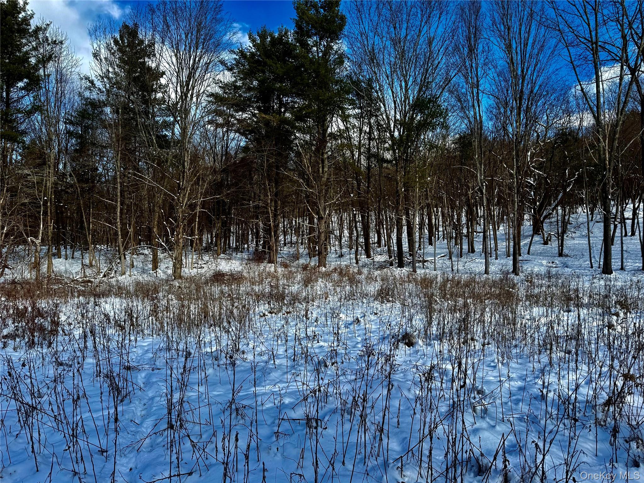 266 Pitts Road, Chatham, NY 12136