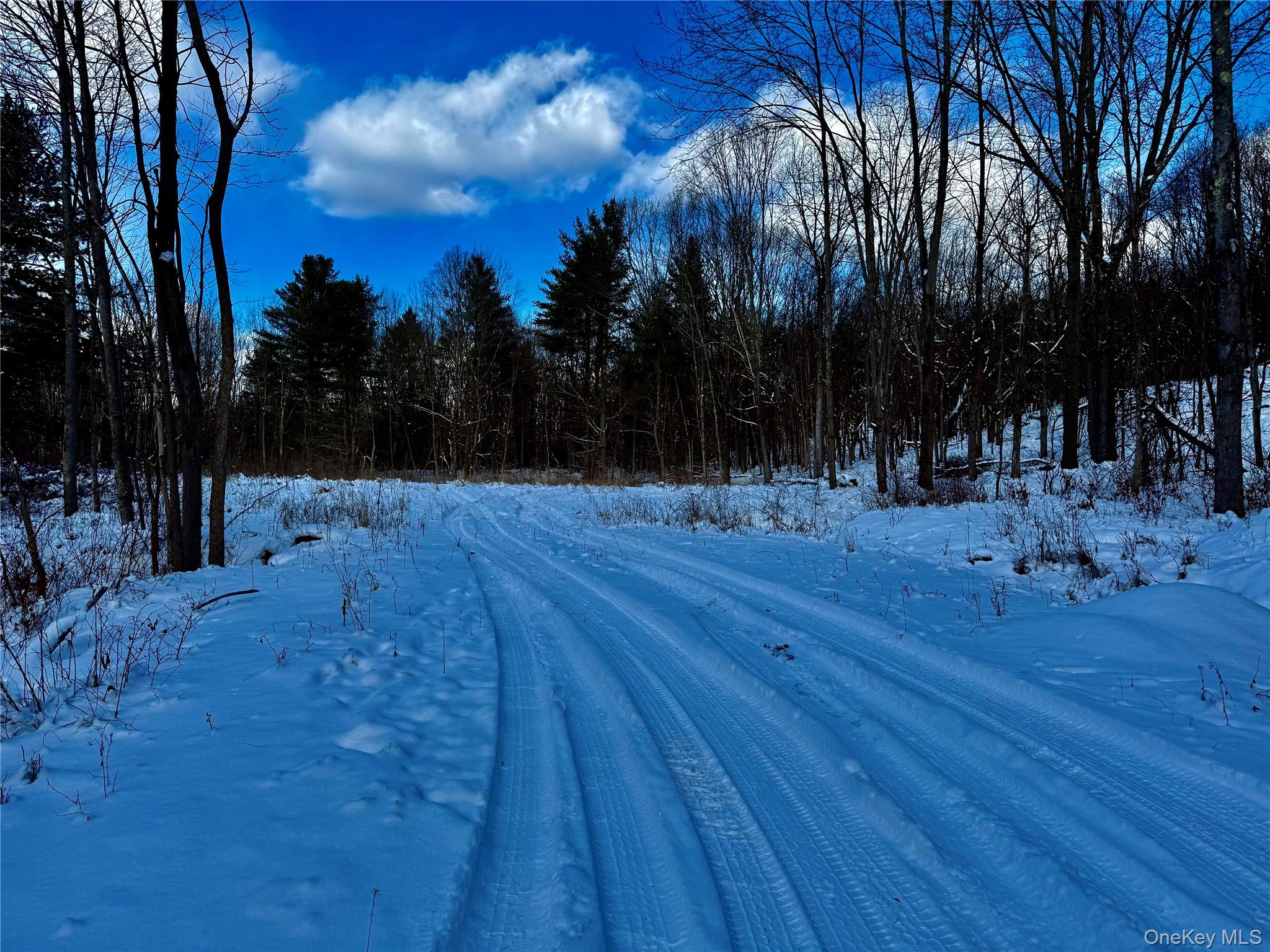 266 Pitts Road, Chatham, NY 12136