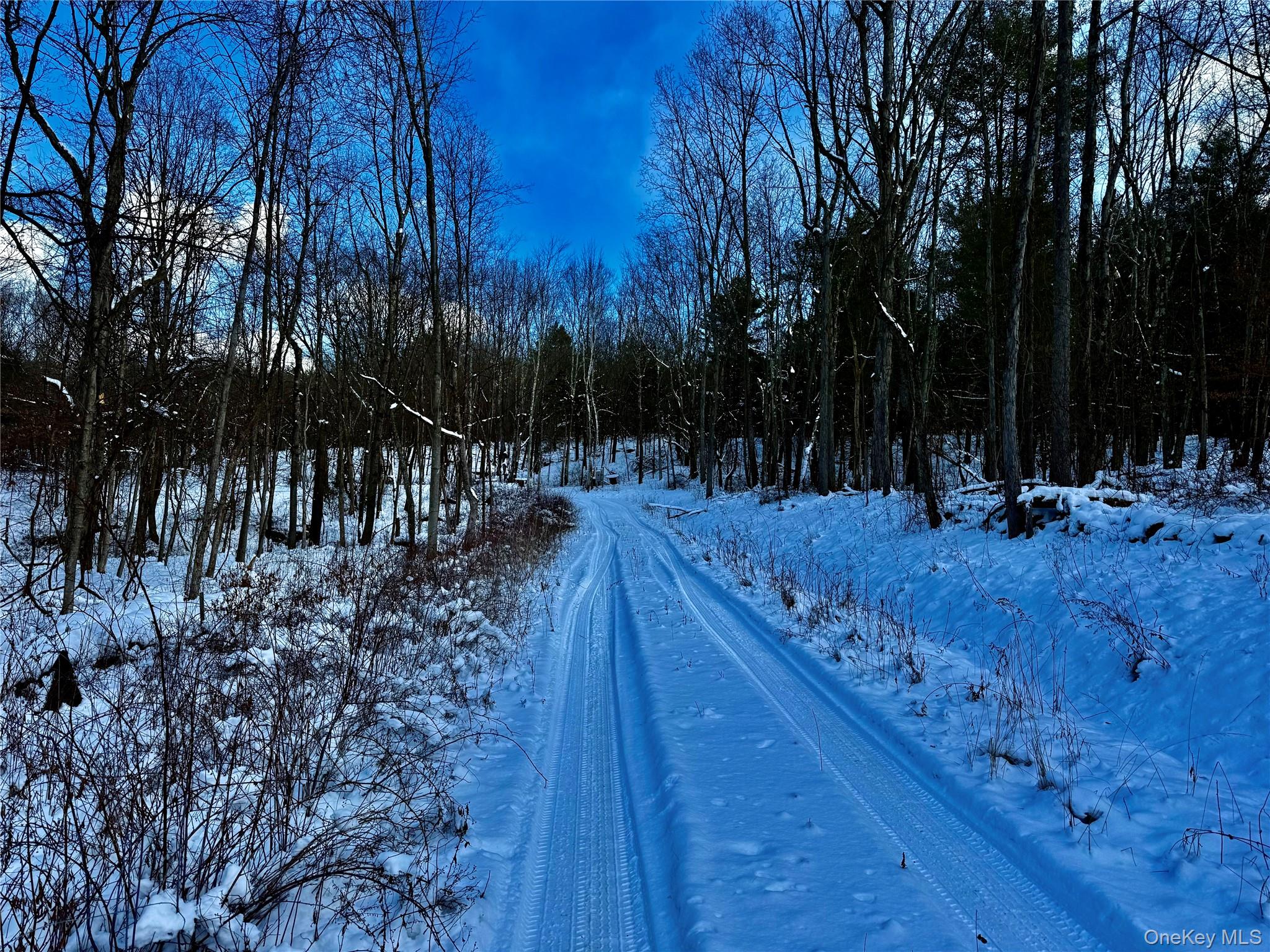 266 Pitts Road, Chatham, NY 12136