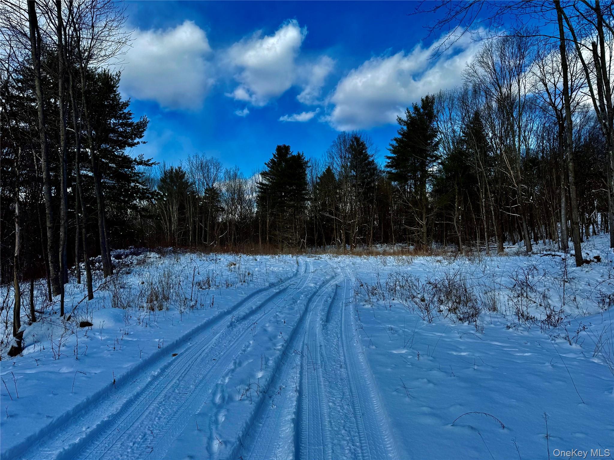 266 Pitts Road, Chatham, NY 12136