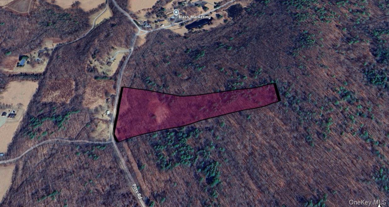 266 Pitts Road, Chatham, NY 12136