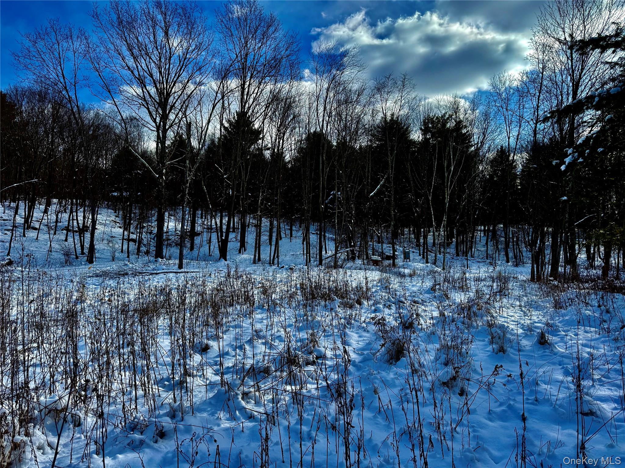 266 Pitts Road, Chatham, NY 12136