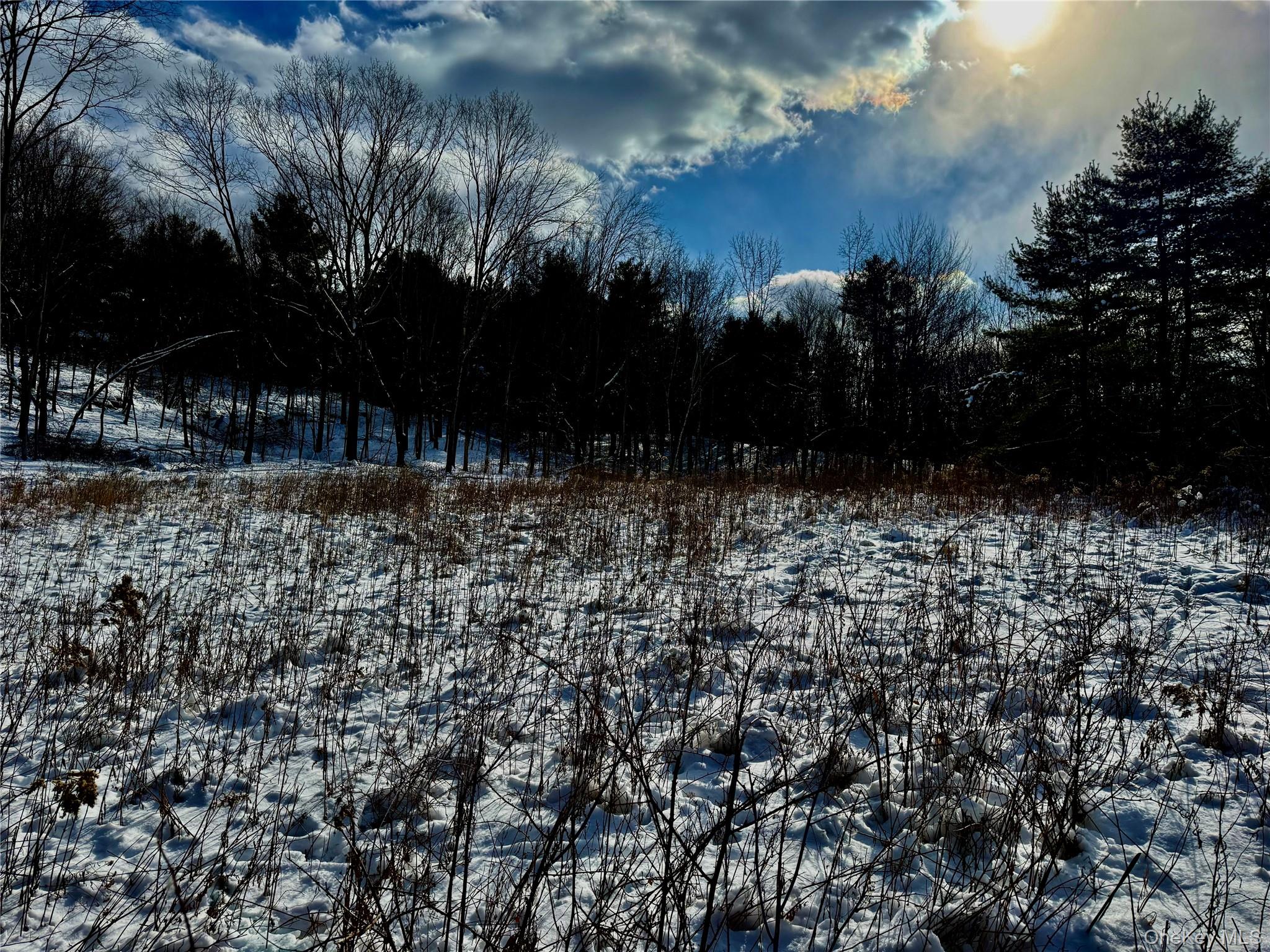 266 Pitts Road, Chatham, NY 12136