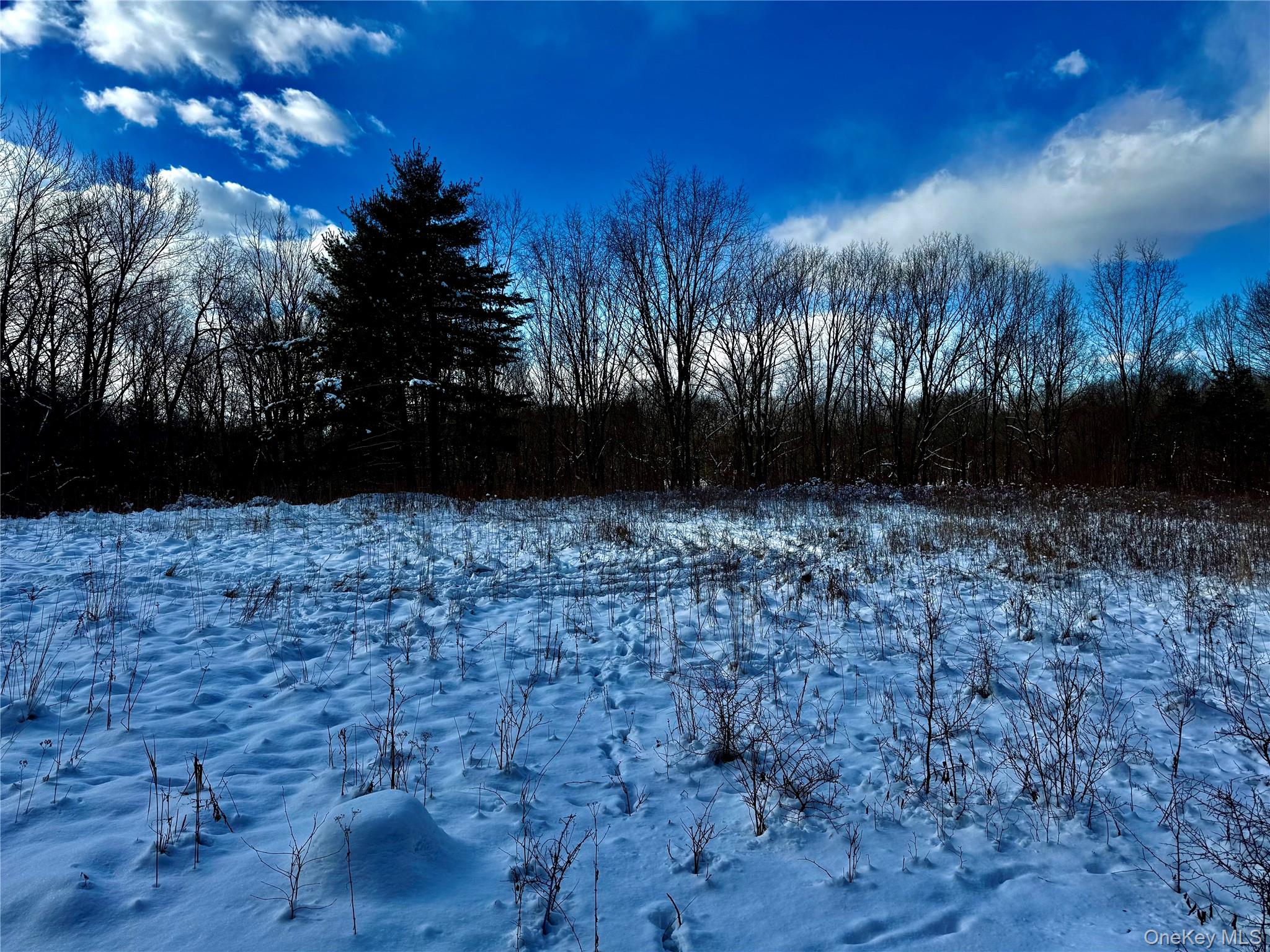 266 Pitts Road, Chatham, NY 12136