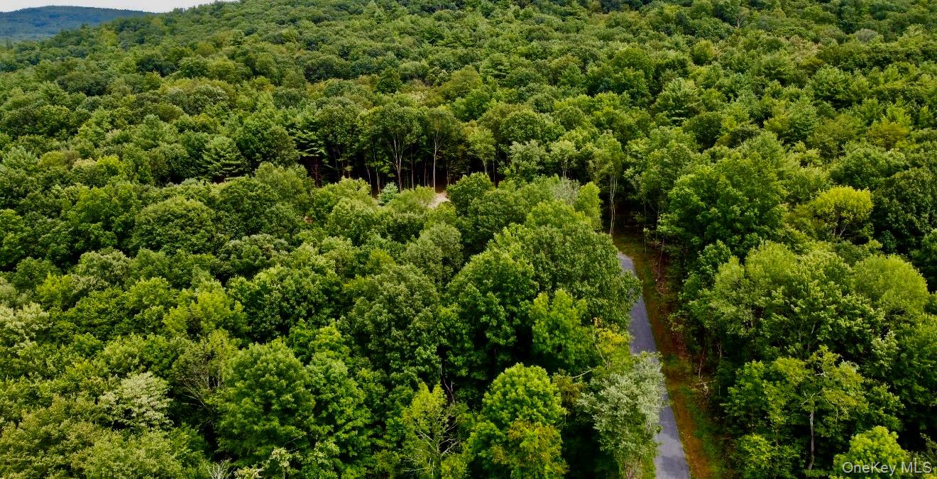 266 Pitts Road, Chatham, NY 12136