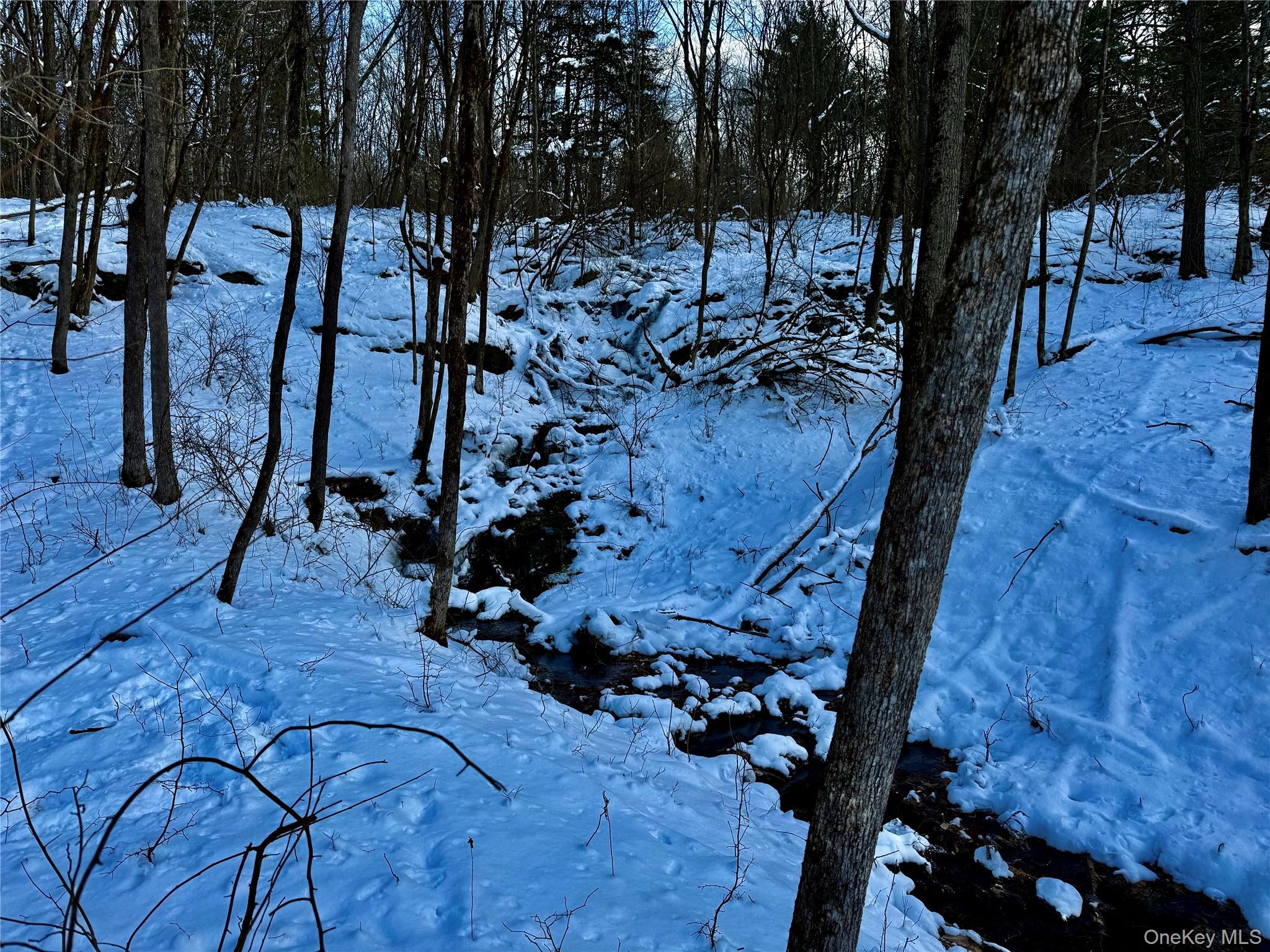 266 Pitts Road, Chatham, NY 12136