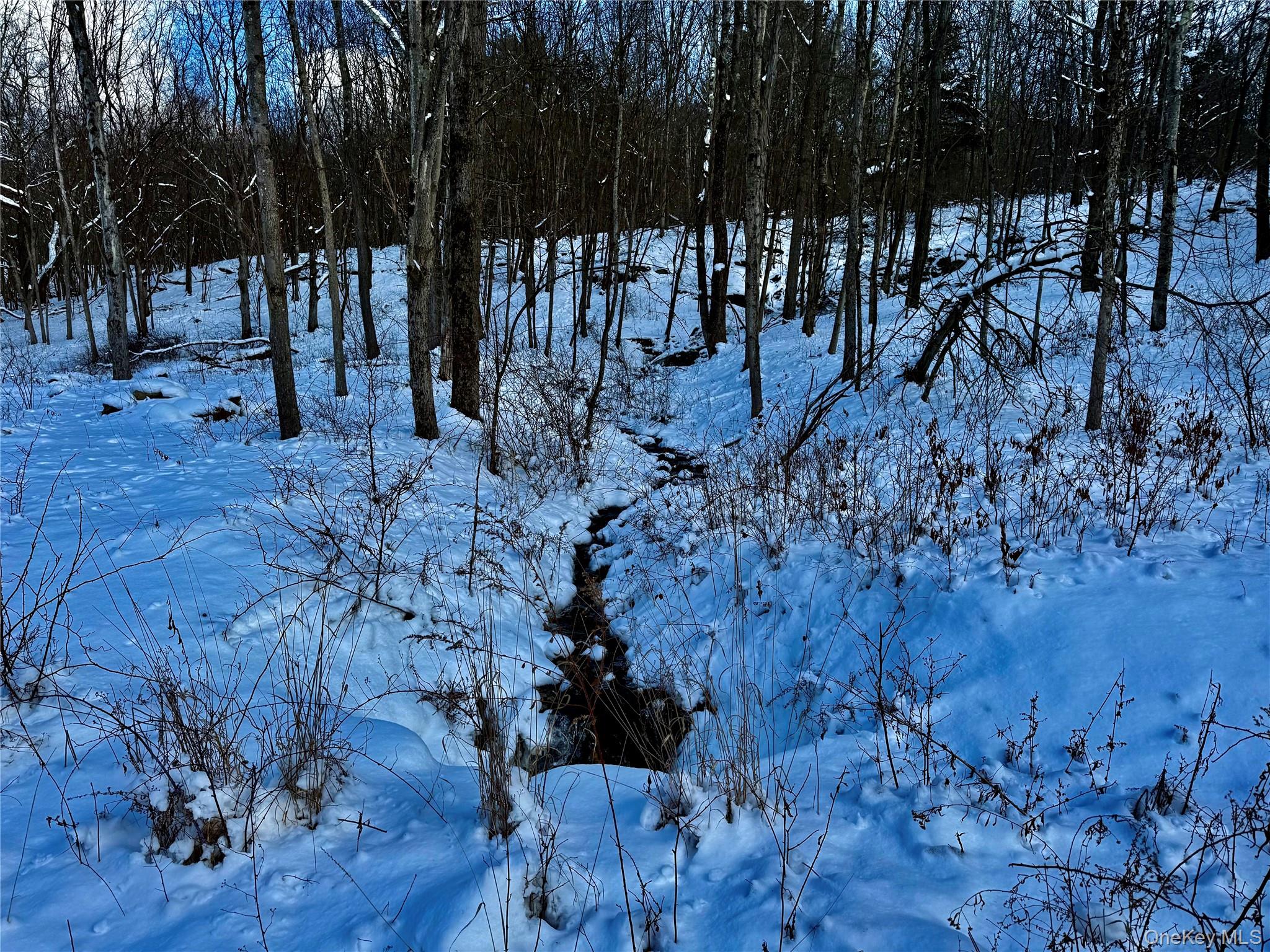 266 Pitts Road, Chatham, NY 12136