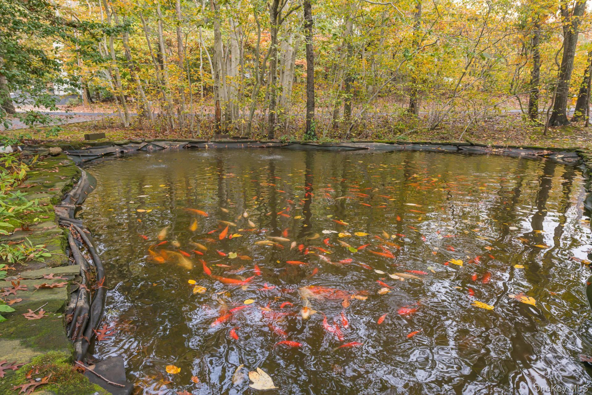 22 W Neck Road, Southampton, NY 11968