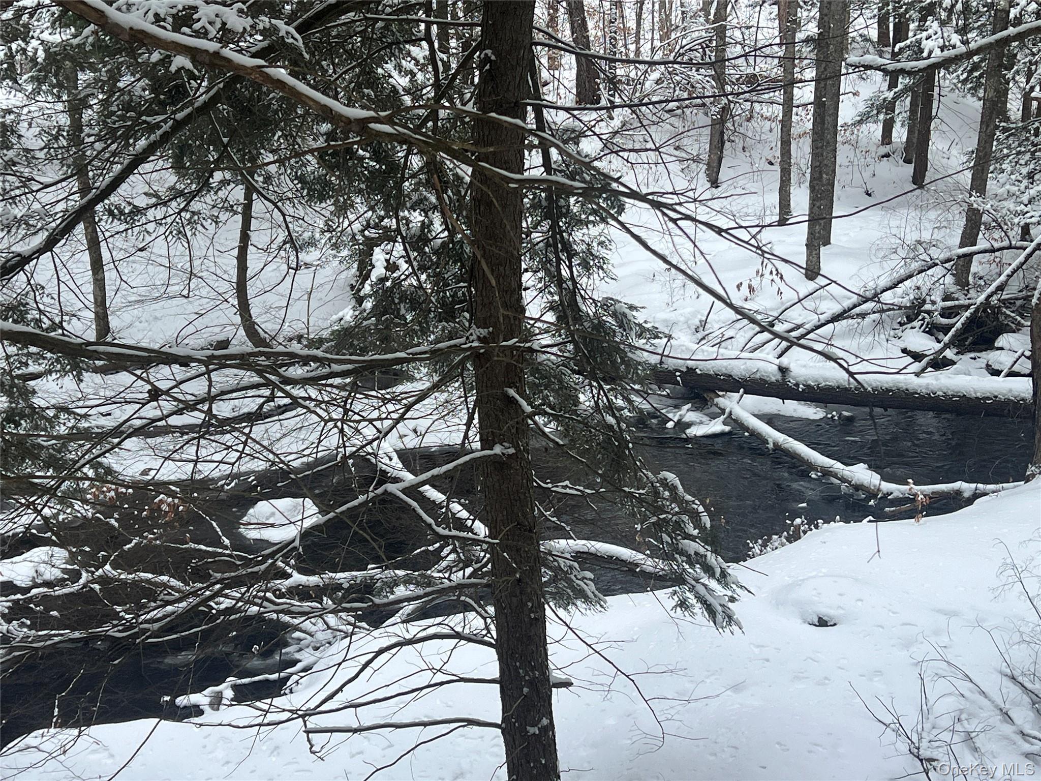 Methol Road, Hancock, NY 13783