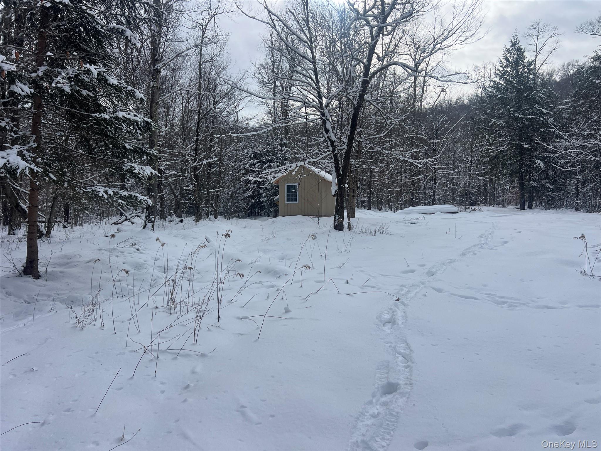 Methol Road, Hancock, NY 13783