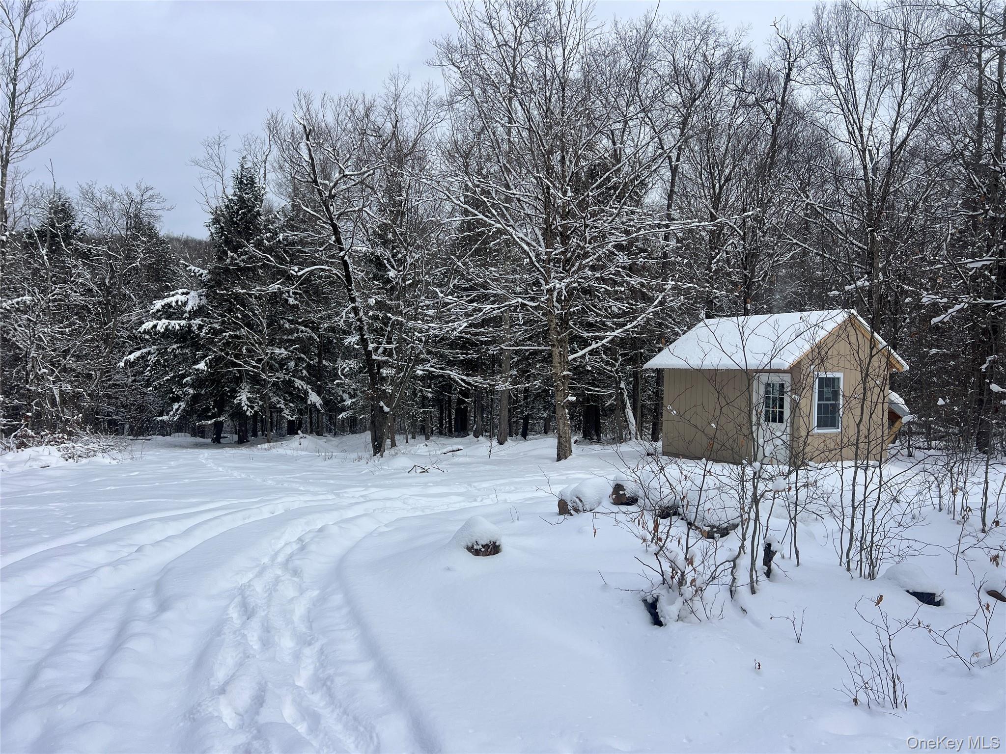 Methol Road, Hancock, NY 13783