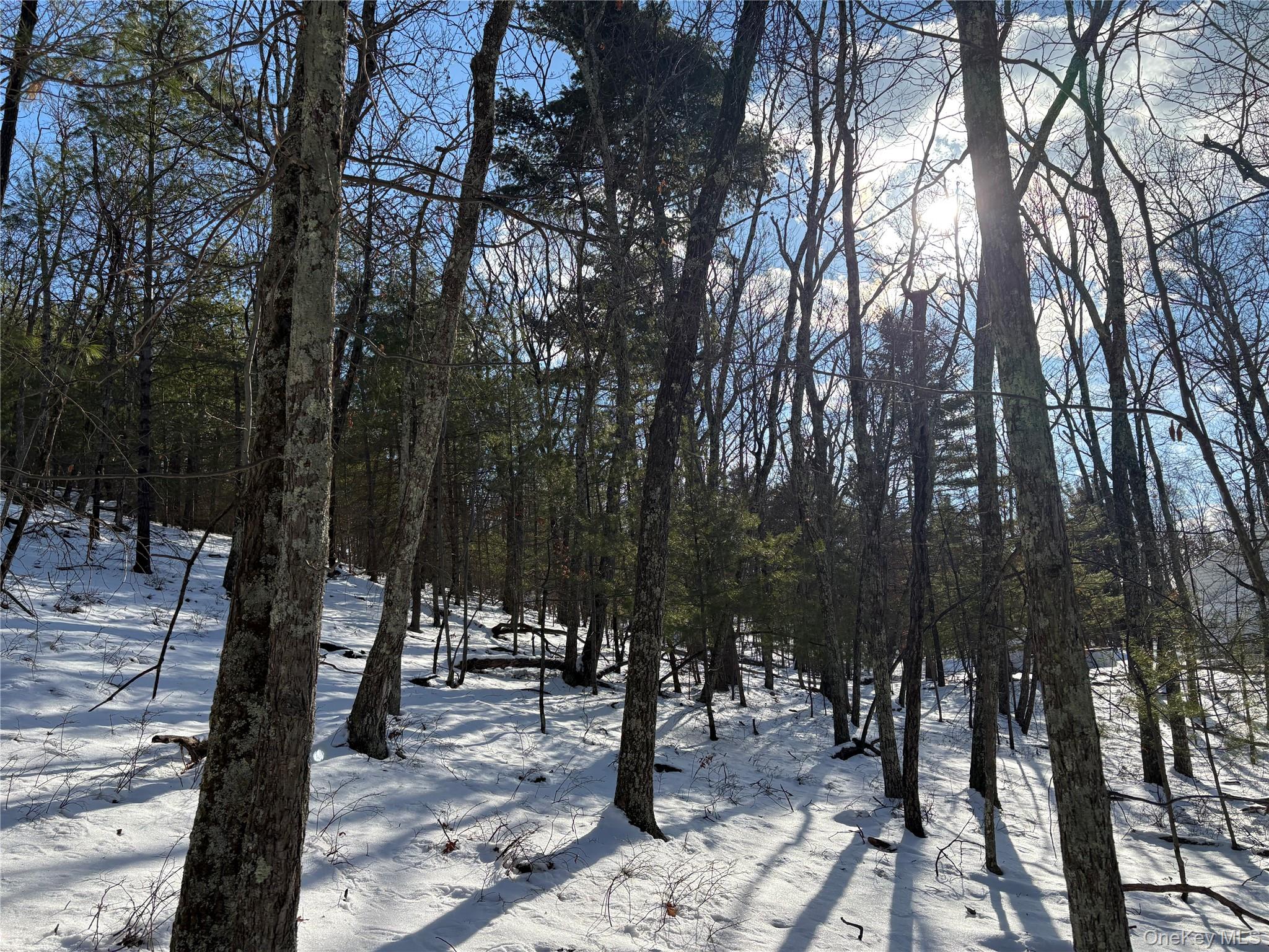 Route 28A, West Hurley, NY 12443