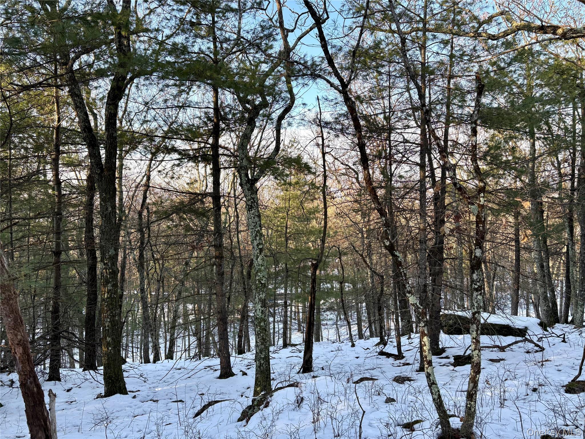 Route 28A, West Hurley, NY 12443