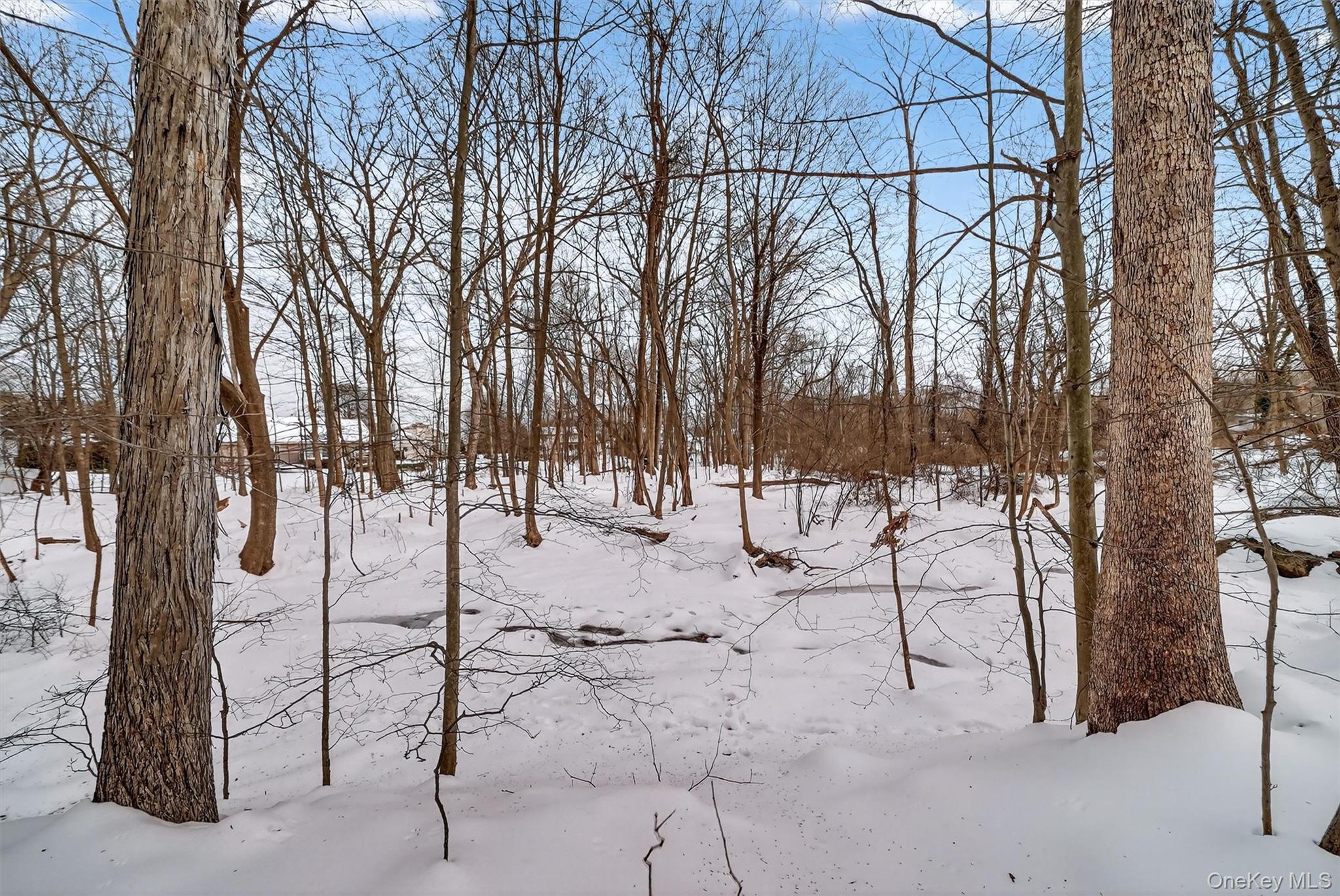 6 Pelham Court, Nanuet, NY 10954