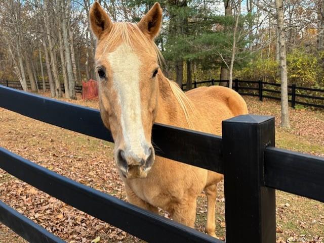 71 Frost Road, Rhinebeck, NY 12572