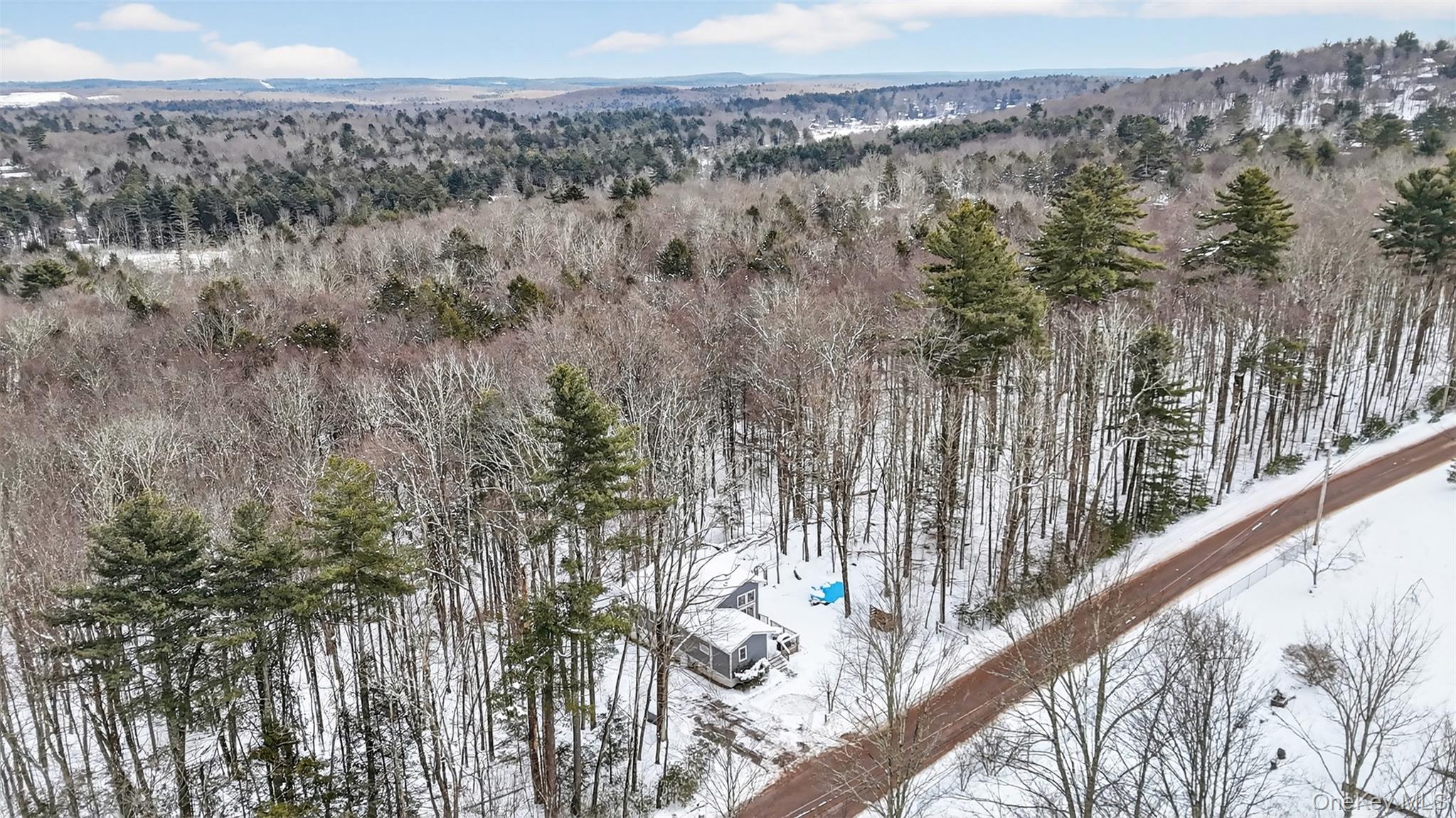 24 Schultz Road, White Lake, NY 12786