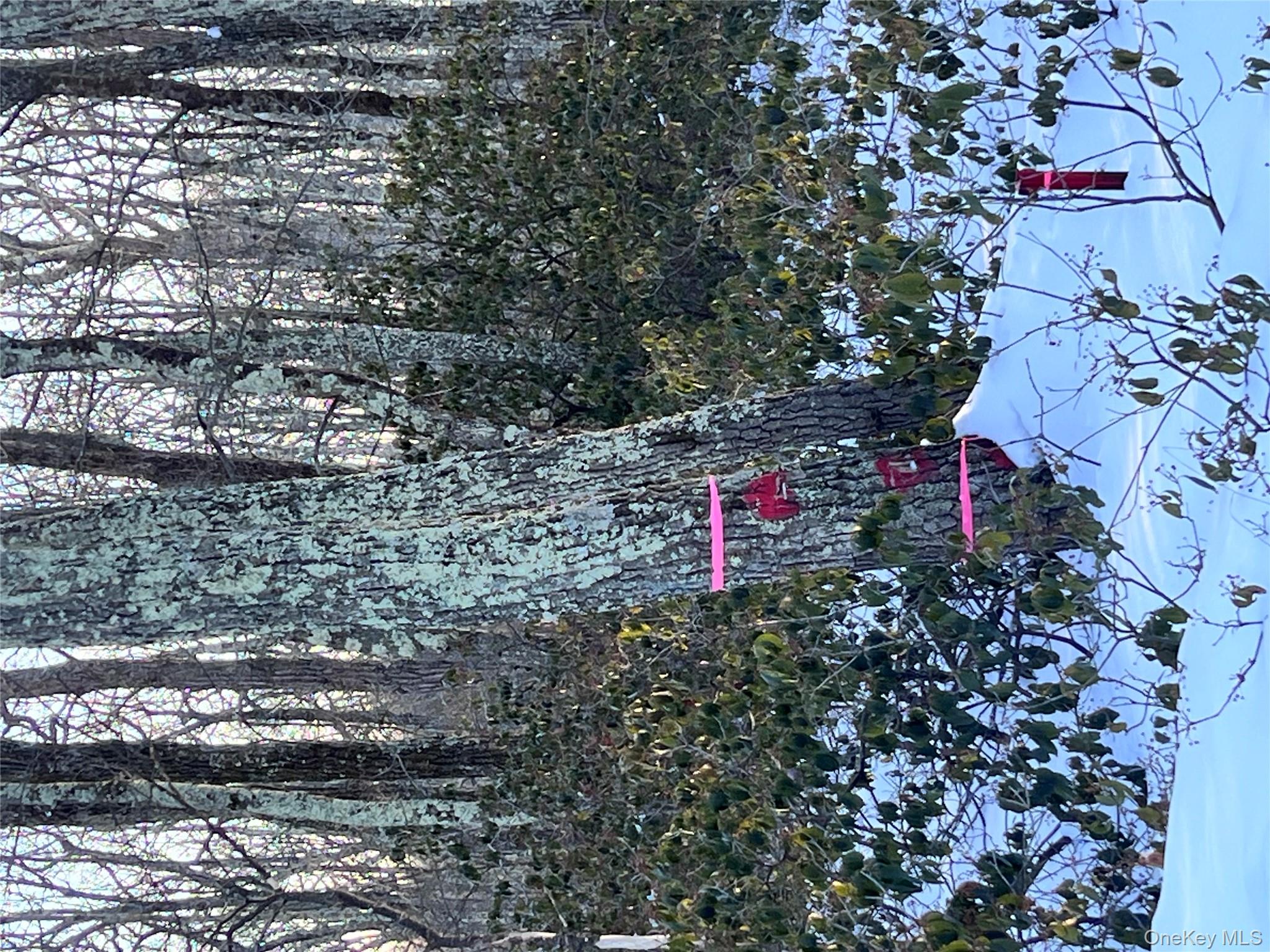 Budd Road, Wurtsboro, NY 12790