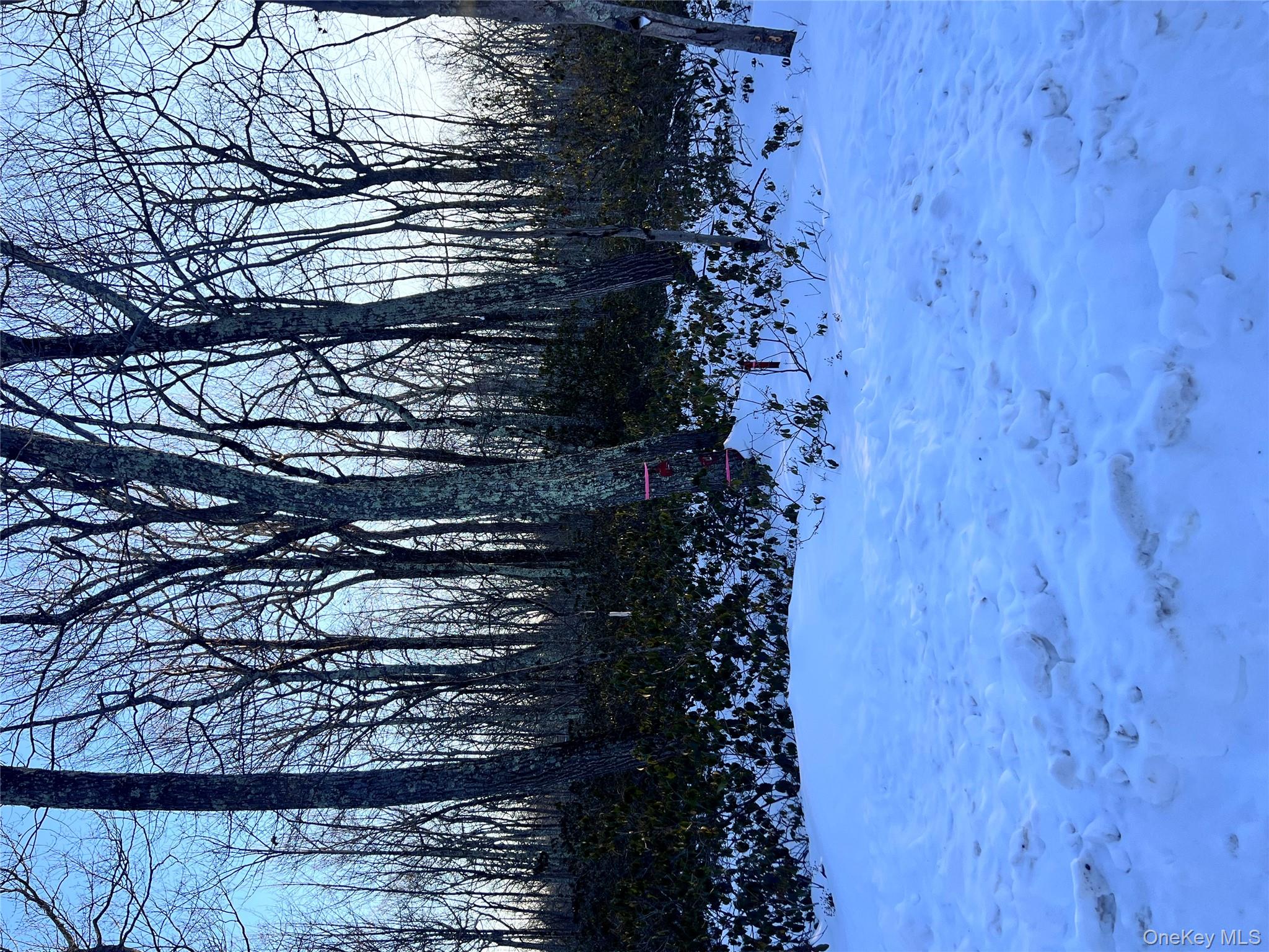 Budd Road, Wurtsboro, NY 12790