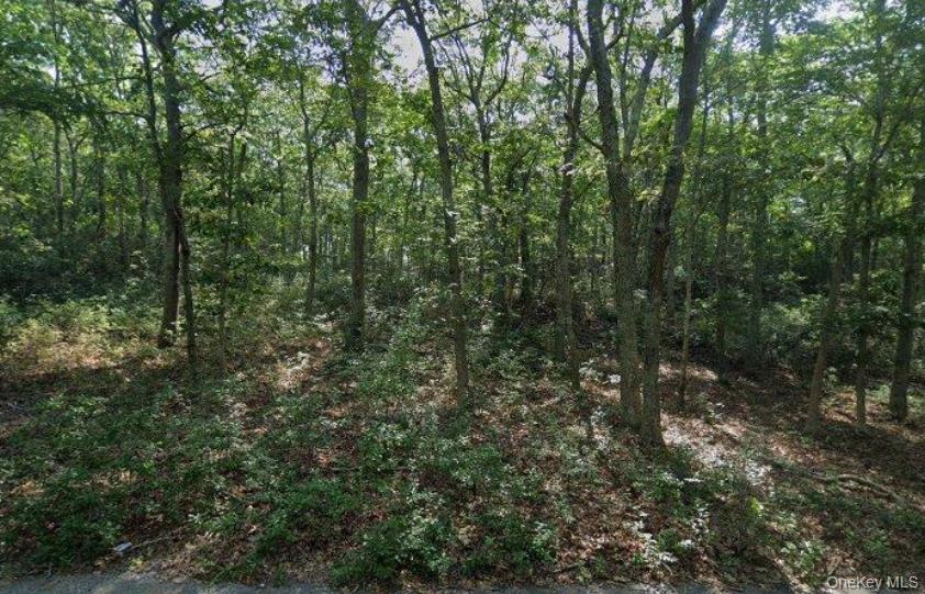 901 Old Sag Harbor Road, Water Mill, NY 11976